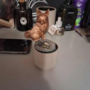 Homecourt Scented Candle with Pink Roses